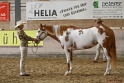 22-APHA HTB_014